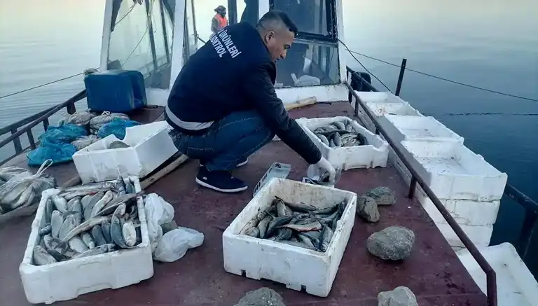 Erçek Gölü'nde İnci Kefali Bereketi!